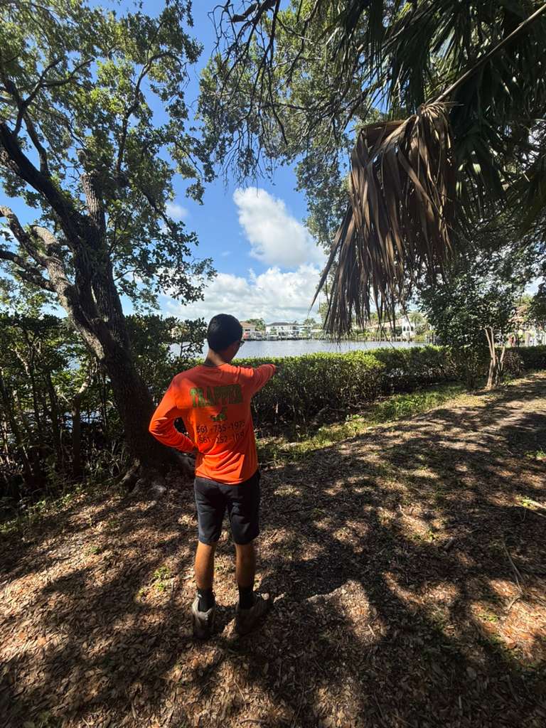 Iguana control technician searching under trees