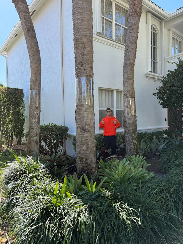 Iguana removal property inspection in landscaping