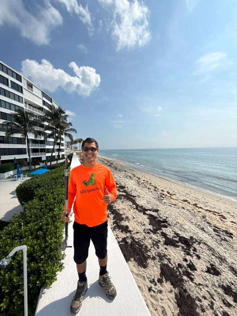 Iguana removal technician at oceanfront residence