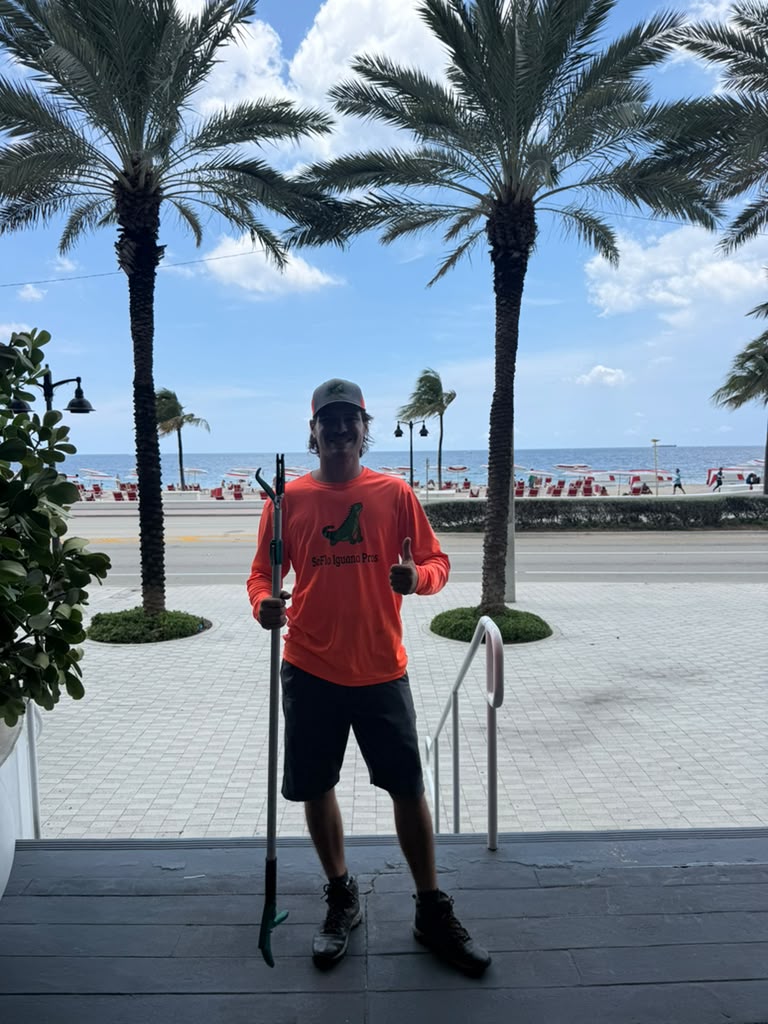 Iguana removal technician with capture poles at beach