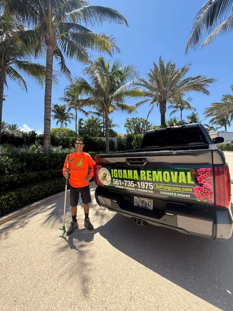 Soflo iguana pros truck at beachfront property
