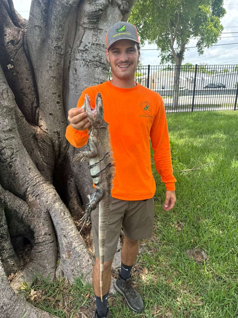 Technician holding small iguana beside tree