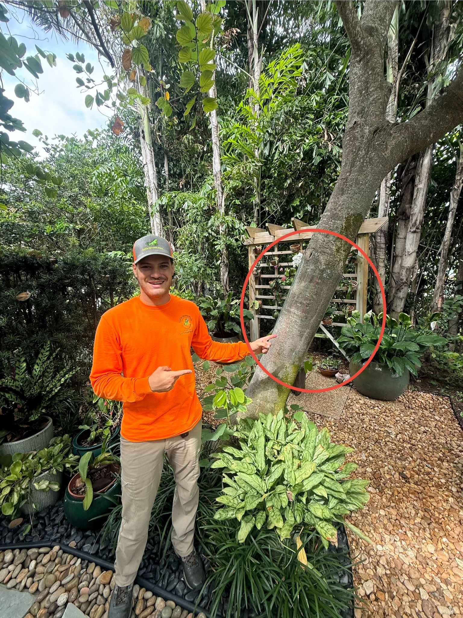 Roof-line inspection — West Palm Beach